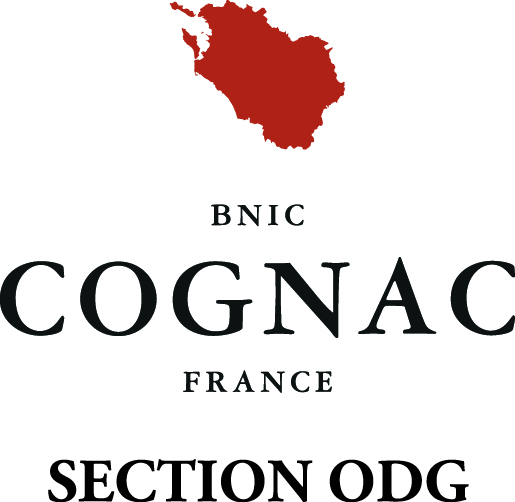 logo ODG